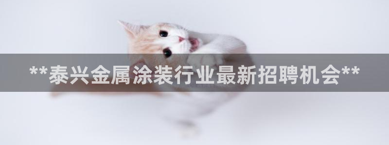 美狮美高梅酒店黑卡400餐卷