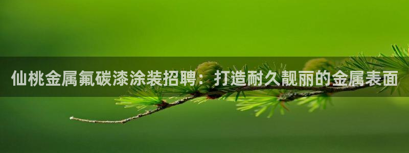 美高梅几星级