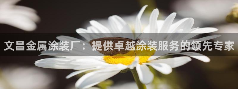 美高梅为什么叫这个名字