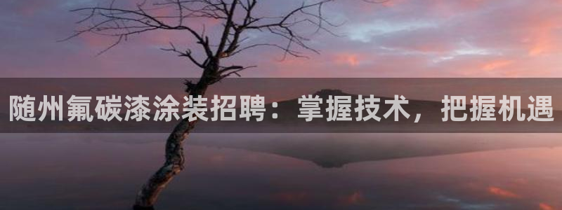 美高梅是做什么的澳门何超琼