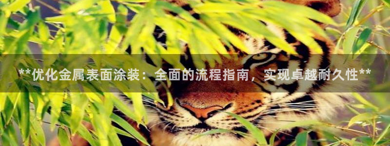 美狮美高梅百度百科