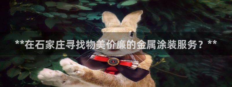 美高梅酒店集团简介