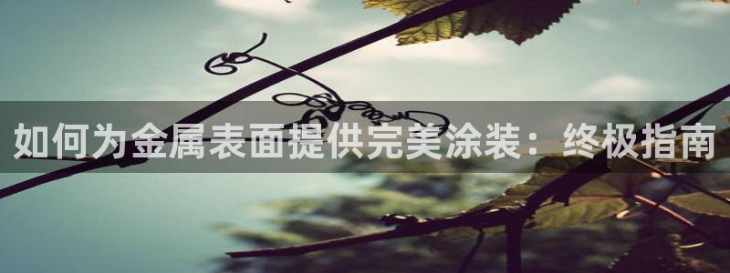 美高梅酒店可以带走的东西