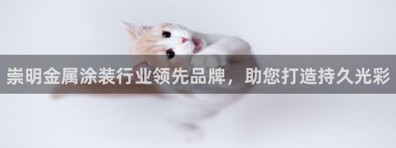 美高梅大酒店上海