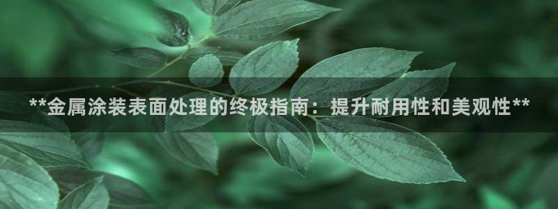 美高梅酒店青岛自助