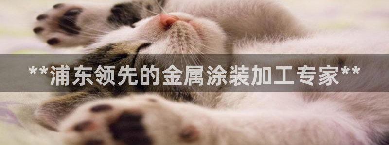 美高梅便携旅行装佛手柑护发素