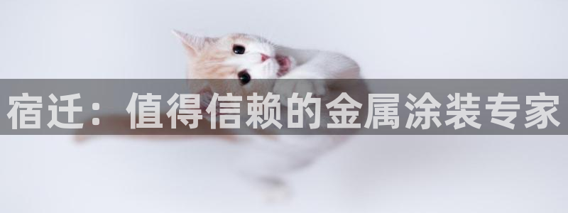 美高梅酒店哪个城市