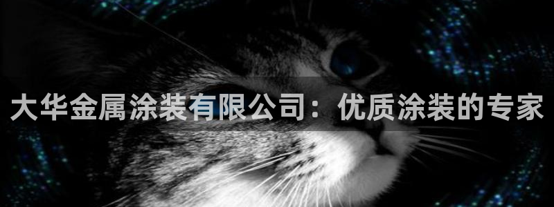 美高梅在澳门有几家