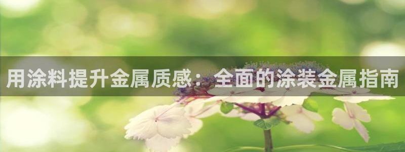 美高梅酒店是几星级