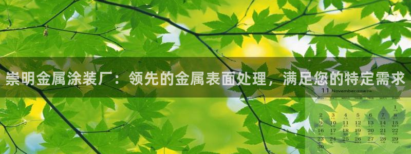 美高梅会员卡