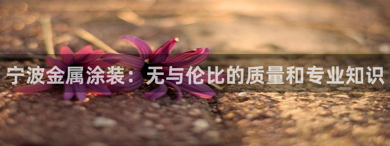 美高梅偶遇何超琼