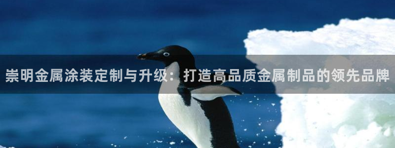 美高梅天幕广场表演