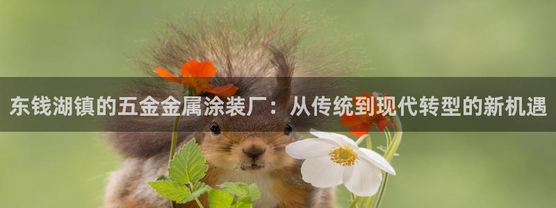 美高梅软件转钱准成吗