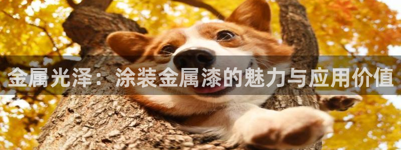 美高梅酒店是谁开的