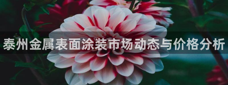 美高梅飞鱼表演