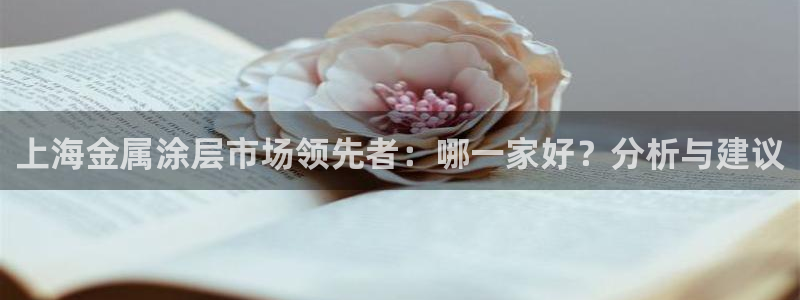 美高梅游戏攻略