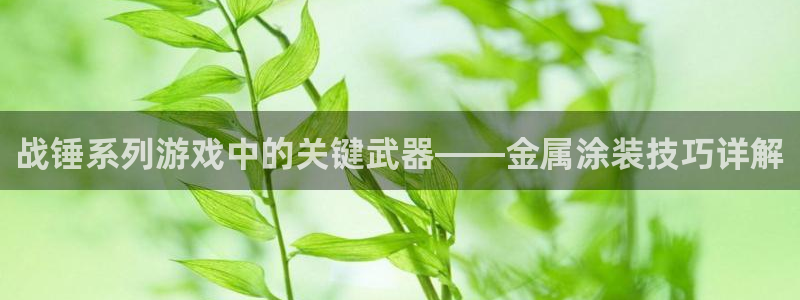 美高梅行政泳池