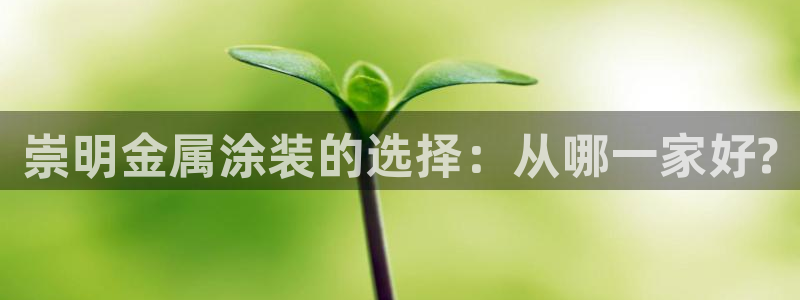 美高梅公司何超琼