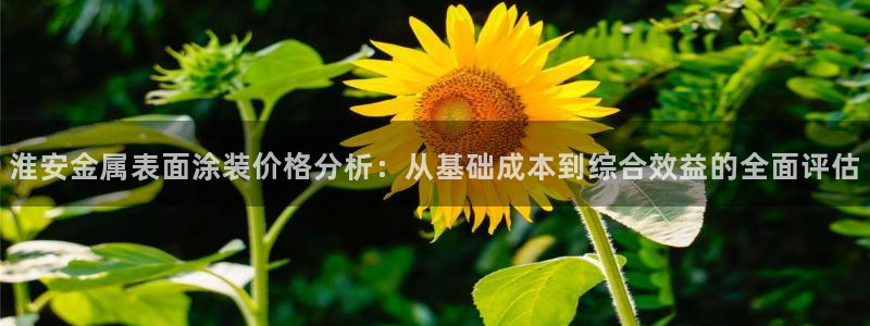 美高梅大酒店何超琼：淮安金属表面涂装价格