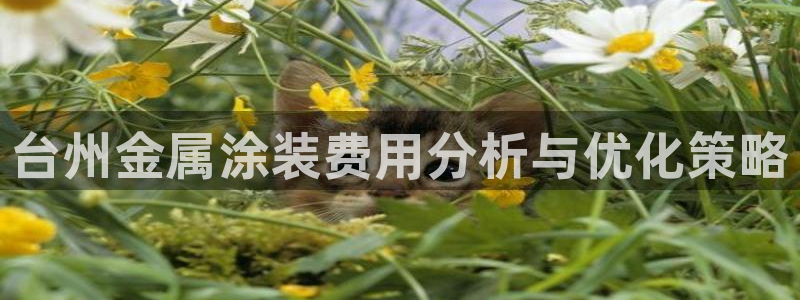 美高梅酒店老板是谁