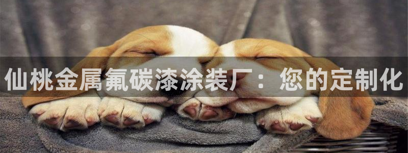 美高梅穿梭巴士免费吗