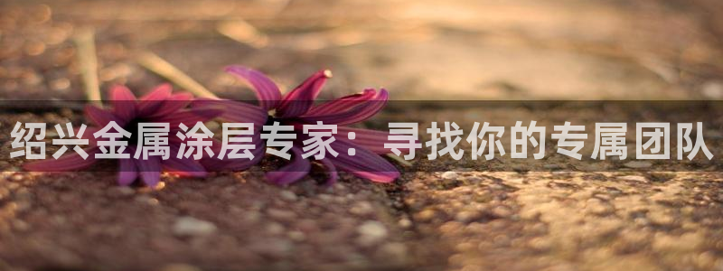 美高梅会员卡升级