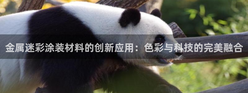 美高梅酒店澳门图片