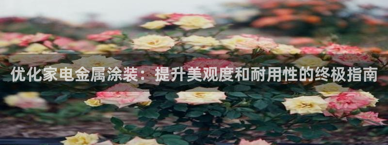 美狮美高梅酒店武汉有吗