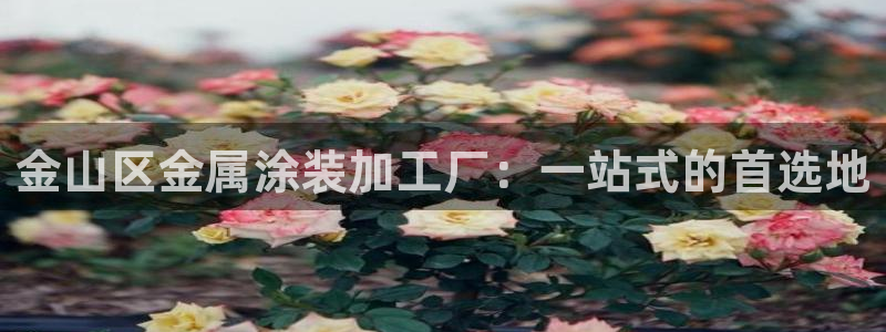 美狮美高梅酒店美艺客房：金山区金属涂装加